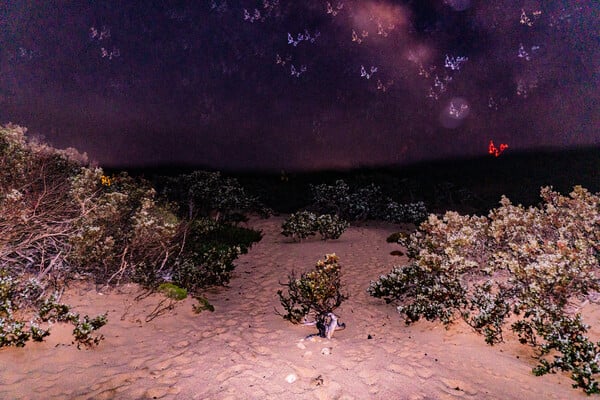 Φωτογραφία της Γαύδος - Οδοιπορικό & Εικόνα