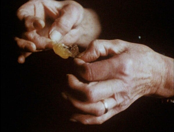 Κοντά στην άγρια καρδιά αυτού του κόσμου/ από τον Πάνο Μιχαήλ