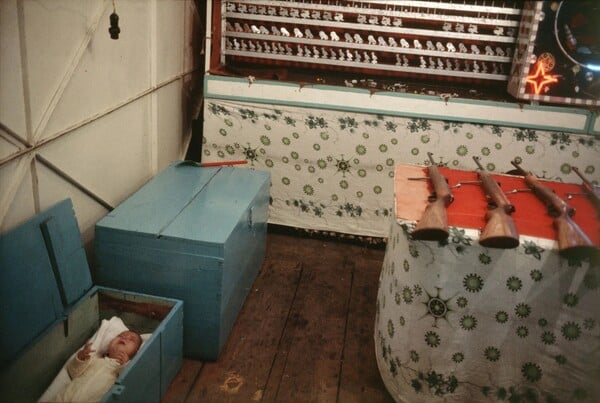 Κοντά στην άγρια καρδιά αυτού του κόσμου/ από τον Πάνο Μιχαήλ