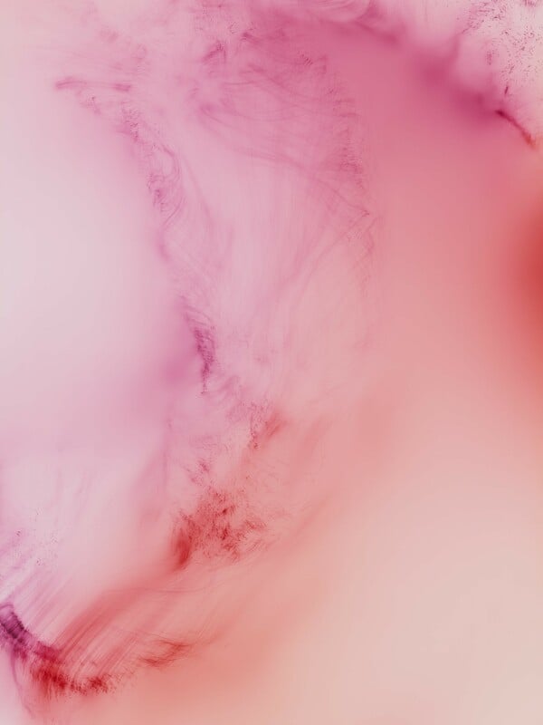 Κοντά στην άγρια καρδιά αυτού του κόσμου/ από τον Πάνο Μιχαήλ