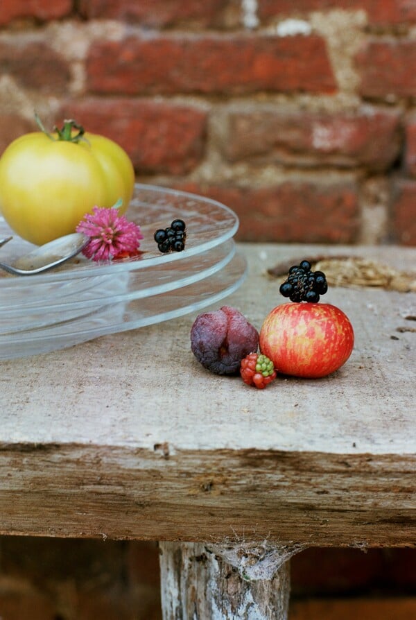 Κοντά στην άγρια καρδιά αυτού του κόσμου/ από τον Πάνο Μιχαήλ