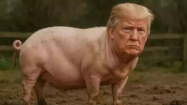 «Quiet, piggy»: Το σεξιστικό ξέσπασμα του Ντόναλντ Τραμπ κατά δημοσιογράφου που έγινε viral