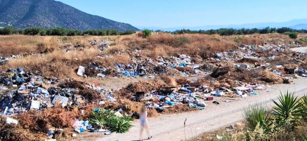 Ποταμός Τάνος: Καταγγελία για εκτεταμένη ρύπανση - Φόβοι για μεταφορά ρύπων στη θάλασσα