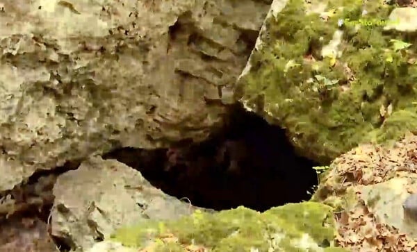 Εξαφάνιση Αμαλίας Νικολοπούλου: Η αποσύνθεση της σορού έγινε στη σπηλιά - Τα πρώτα ευρήματα των Αρχών