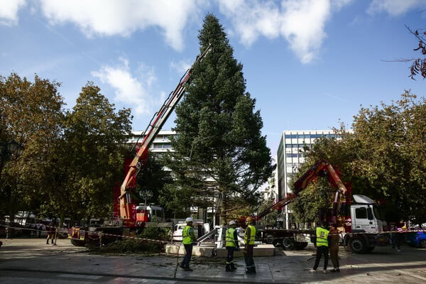 ΧΡΙΣΤΟΥΓΕΝΝΙΑΤΙΚΟ ΔΕΝΤΡΟ ΣΥΝΤΑΓΜΑ ΦΩΤΑΓΩΓΗΣΗ