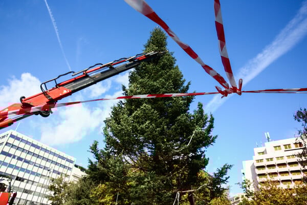 ΧΡΙΣΤΟΥΓΕΝΝΙΑΤΙΚΟ ΔΕΝΤΡΟ ΣΥΝΤΑΓΜΑ ΦΩΤΑΓΩΓΗΣΗ