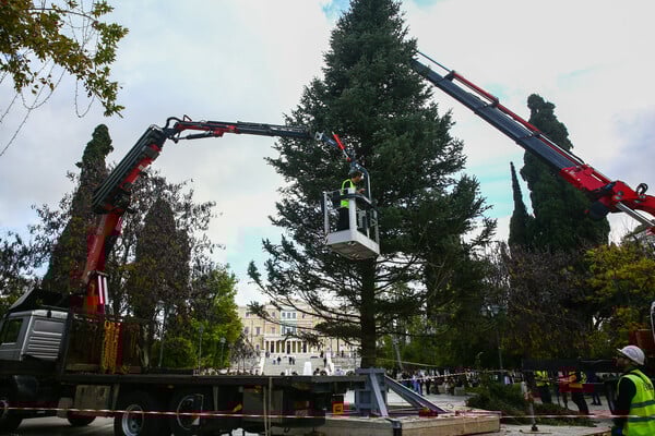 ΧΡΙΣΤΟΥΓΕΝΝΙΑΤΙΚΟ ΔΕΝΤΡΟ ΣΥΝΤΑΓΜΑ ΦΩΤΑΓΩΓΗΣΗ