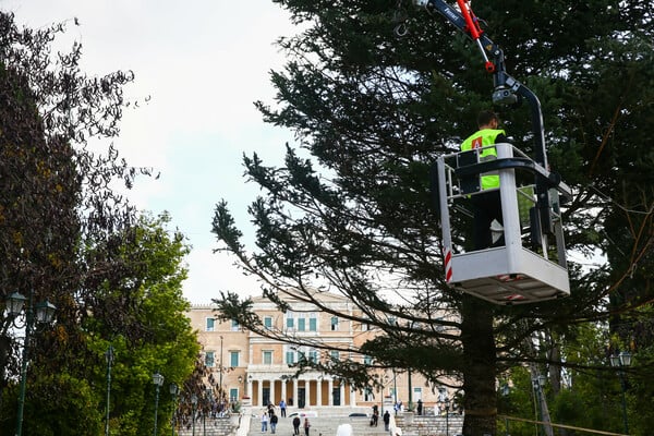 ΧΡΙΣΤΟΥΓΕΝΝΙΑΤΙΚΟ ΔΕΝΤΡΟ ΣΥΝΤΑΓΜΑ ΦΩΤΑΓΩΓΗΣΗ