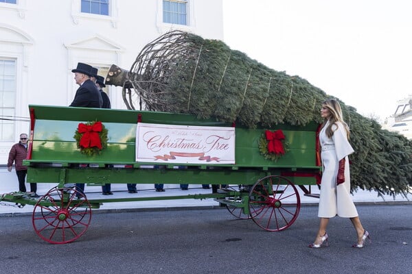 Η Μελάνια Τραμπ υποδέχθηκε το επίσημο χριστουγεννιάτικο δέντρο του Λευκού Οίκου