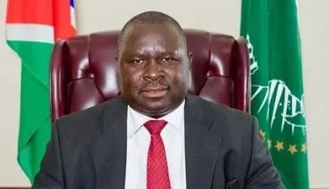 ΑΔΟΛΦΟΣ ΧΙΤΛΕΡ ΝΑΜΙΜΠΙΑ ΕΚΛΟΓΕΣ