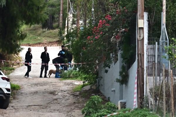 Δολοφονία στη Σαλαμίνα: «Φώναζε και φοβήθηκα ότι θα με αναγνωρίσει» - Τι ομολόγησε η νύφη της 75χρονης