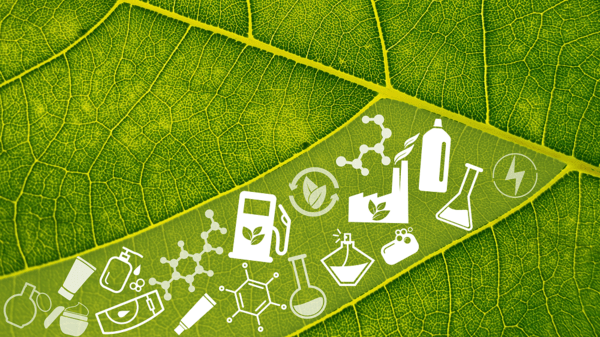 Η βιο-οικονομία στην καθημερινή ζωή της Ευρώπης 