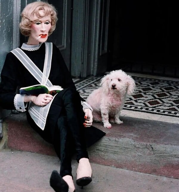 Όταν ο κόσμος καίγεται πιο γρήγορα από εμάς/ από τον Πάνο Μιχαήλ