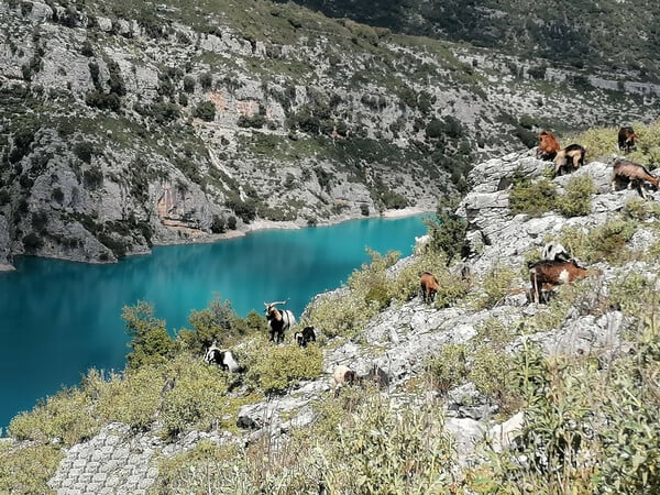 «Εδώ νιώθω πραγματικά ελεύθερος, δημιουργικός και κοντά στις ρίζες μου»