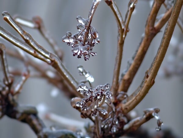 ΚΑΙΡΟΣ ΘΕΟΔΩΡΟΣ ΚΟΛΥΔΑΣ ΧΕΙΜΩΝΑΣ