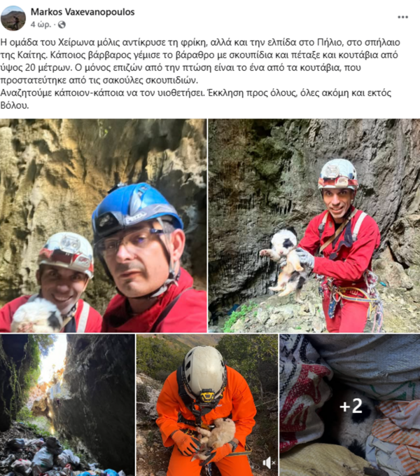 Πήλιο: Άγνωστοι πέταξαν κουτάβια σε βάραθρο 20 μέτρων – Ένα επέζησε και διασώθηκε