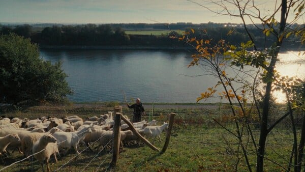 11ο Διεθνές Φεστιβάλ Ντοκιμαντέρ Πελοποννήσου – τα βραβεία