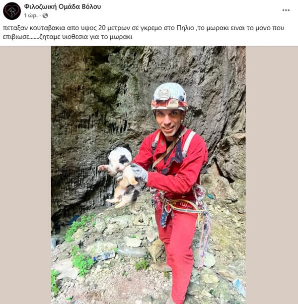 Κατέληξε το κουτάβι που είχε διασωθεί από βάραθρο στο Πήλιο