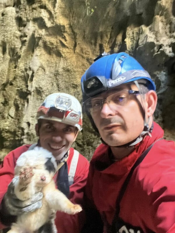 Κατέληξε το κουτάβι που είχε διασωθεί από βάραθρο στο Πήλιο