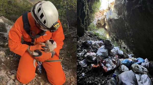 Κατέληξε το κουτάβι που είχε διασωθεί από βάραθρο στο Πήλιο
