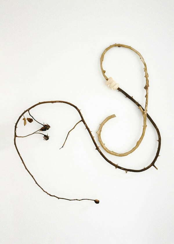 Ανδρέας Μαλλουρής: An Evening Botanist