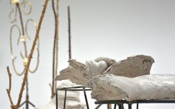 Ανδρέας Μαλλουρής: An Evening Botanist