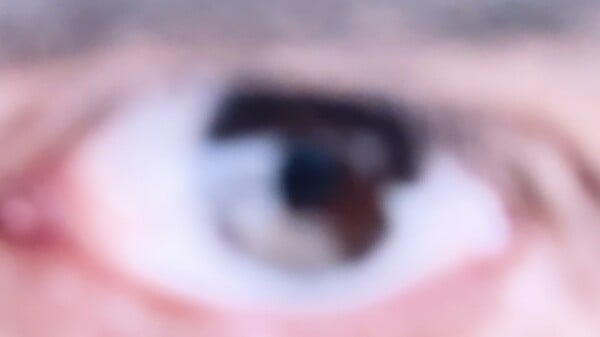 Ανδρέας Μαλλουρής: An Evening Botanist