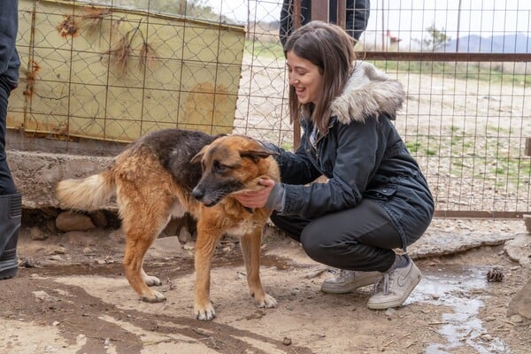 Συμμαχώντας για ένα καλύτερο μέλλον: 4 οργανισμοί που στηρίζει η Kaizen Gaming