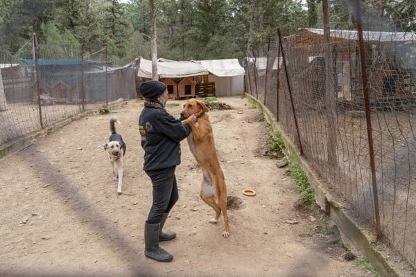 Συμμαχώντας για ένα καλύτερο μέλλον: 4 οργανισμοί που στηρίζει η Kaizen Gaming