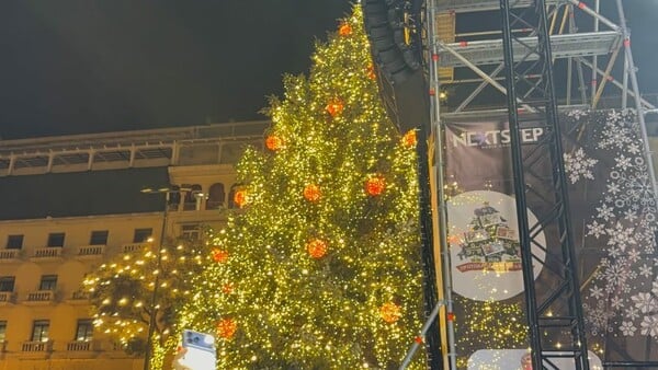 ΘΕΣΣΑΛΟΝΙΚΗ ΧΡΙΣΤΟΥΓΕΝΝΑ ΧΡΙΣΤΟΥΓΕΝΝΙΑΤΙΚΟ ΔΕΝΤΡΟ