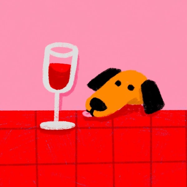 Κάθε σπίτι κρύβει μια γιορτή που περιμένει να αρχίσει 