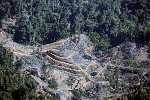 Πάνω από 1.500 οι νεκροί στην Ασία – Στο στόχαστρο η αποψίλωση μετά τις φονικές πλημμύρες
