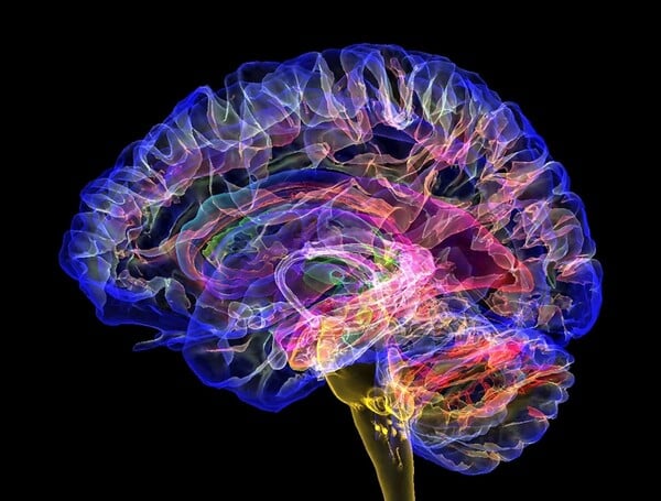 9, 32, 66 και 83 ετών: Αυτές είναι οι πέντε κρίσιμες ηλικίες του ανθρώπινου εγκεφάλου 