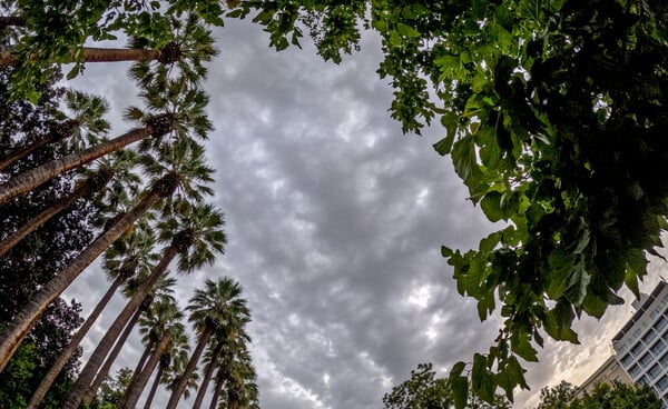 Κακοκαιρία Byron: Κλειστός ο Εθνικός Κήπος - Πότε εξασθενούν τα έντονα φαινόμενα στην Αττική 