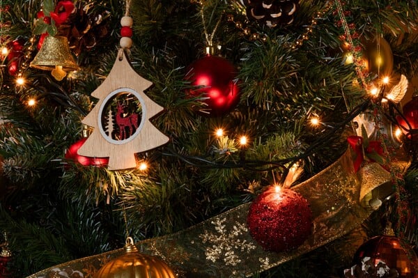 ΧΙΟΣ ΧΡΙΣΤΟΥΓΕΝΝΙΑΤΙΚΟ ΔΕΝΤΡΟ ΕΜΠΡΗΣΜΟΣ ΑΝΑΠΤΗΡΑΣ