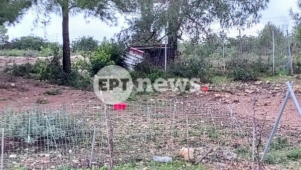 ΝΕΚΡΟ ΠΑΙΔΙ ΖΑΚΥΝΘΟΣ