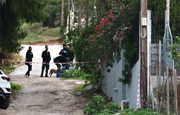 ΣΑΛΑΜΙΝΑ ΔΟΛΟΦΟΝΙΑ ΝΕΟ ΗΧΗΤΙΚΟ ΝΤΟΚΟΥΜΕΝΤΟ