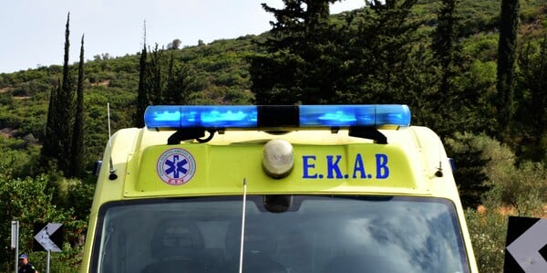Ζάκυνθος: Νεκρό 18 μηνών βρέφος μετά από επίθεση σκύλου