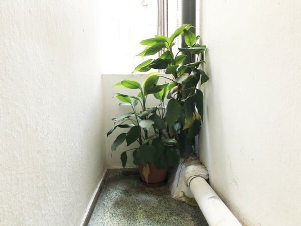 Η πολυκατοικία