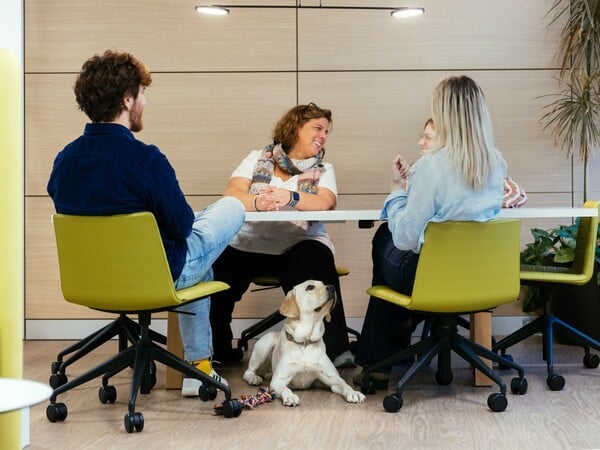 Μια ημέρα με την Έθελ στην MSD: Πώς ένας σκύλος -οδηγός αλλάζει την ζωή στο γραφείο