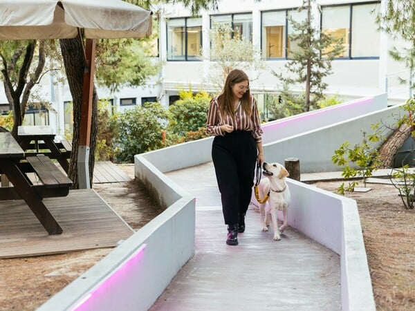 Μια ημέρα με την Έθελ στην MSD: Πώς ένας σκύλος -οδηγός αλλάζει την ζωή στο γραφείο