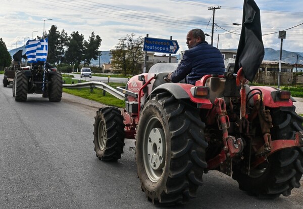 ΑΓΡΟΤΕΣ ΜΗΤΣΟΤΑΚΗΣ