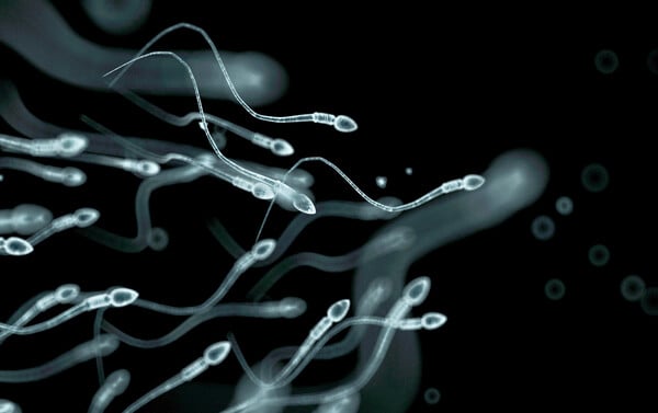 Σπέρμα από δότη με καρκινικό γονίδιο χρησιμοποιήθηκε για τη σύλληψη σχεδόν 200 παιδιών