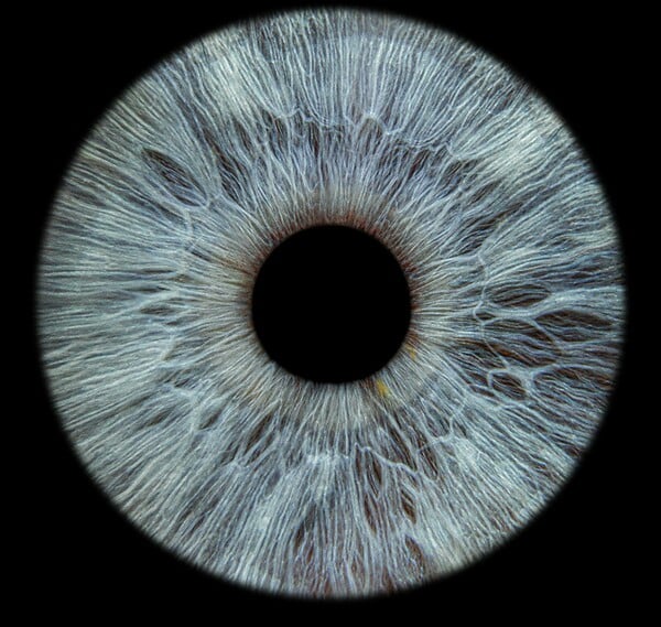 ΚΕΡΑΤΟΕΙΔΗΣ 3D ΕΚΤΥΠΩΣΗ ΟΡΑΣΗ