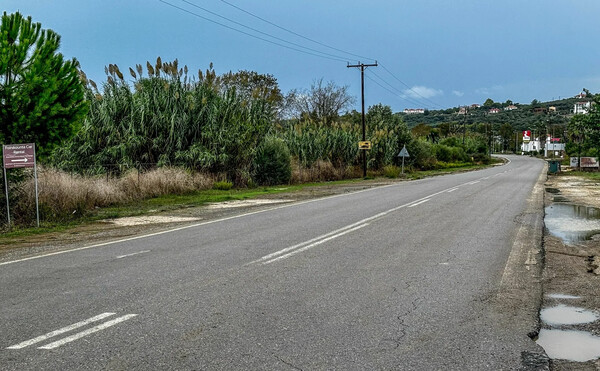 ΦΟΙΝΙΚΟΥΝΤΑ ΔΟΛΟΦΟΝΙΑ ΚΑΜΠΙΝΓΚ