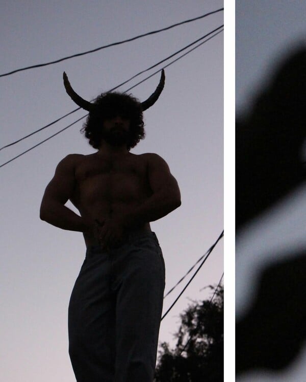 *Το δέρμα που κατοικώ/από τον Πάνο Μιχαήλ