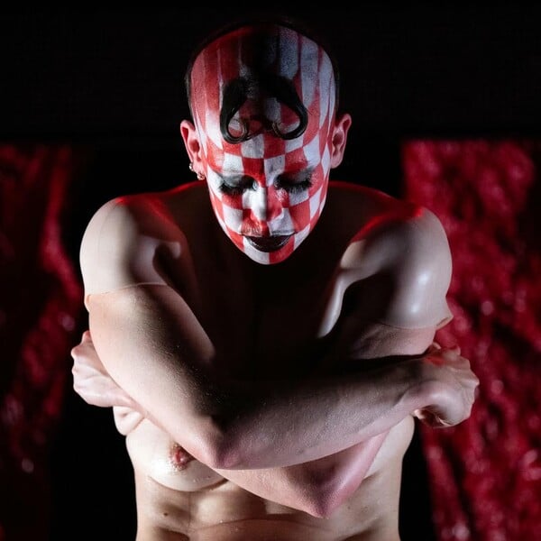 *Το δέρμα που κατοικώ/από τον Πάνο Μιχαήλ