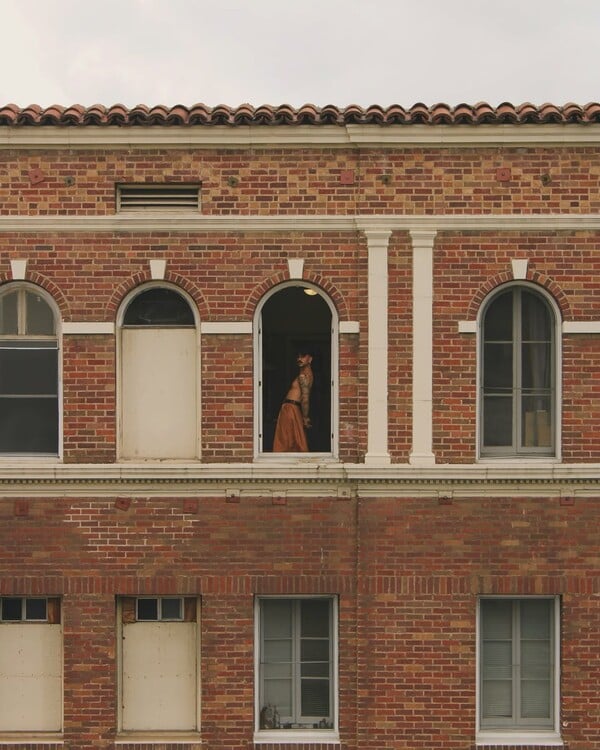 *Το δέρμα που κατοικώ/από τον Πάνο Μιχαήλ