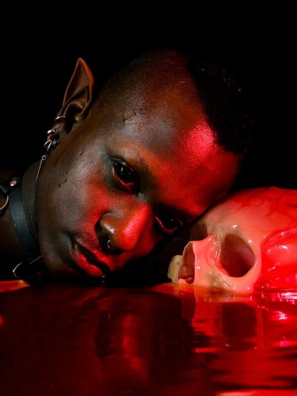 *Το δέρμα που κατοικώ/από τον Πάνο Μιχαήλ