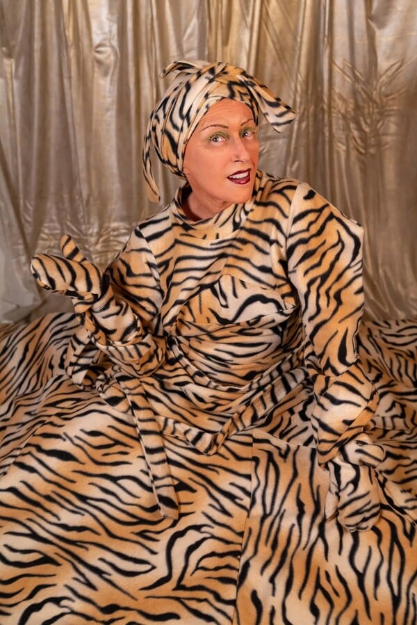 *Το δέρμα που κατοικώ/από τον Πάνο Μιχαήλ